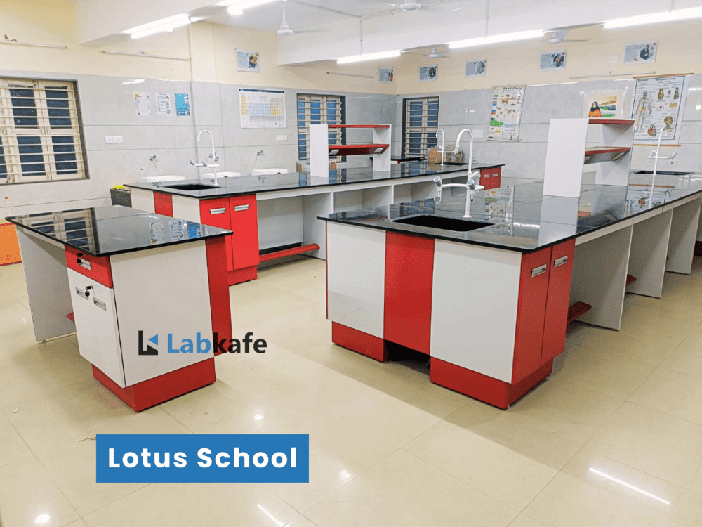 Lotus School